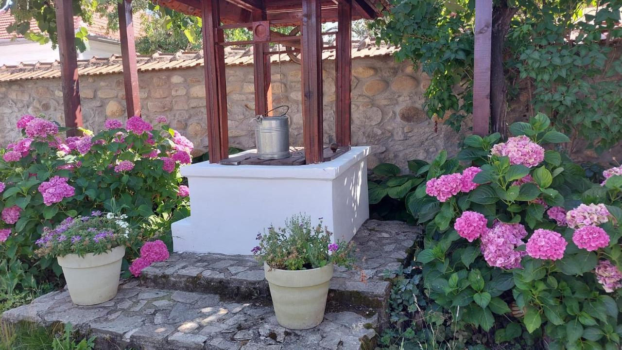 Casa Canda Salasu de Sus Εξωτερικό φωτογραφία
