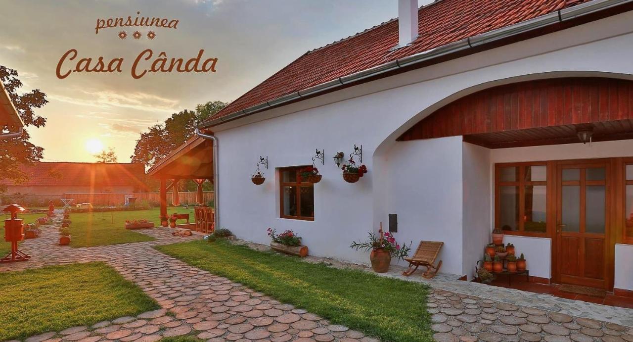 Casa Canda Salasu de Sus Εξωτερικό φωτογραφία